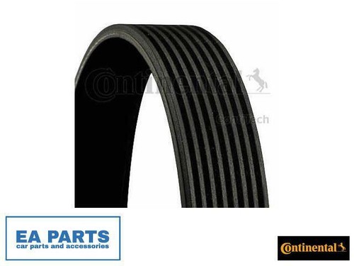 Ribbed belts for - belts, daf