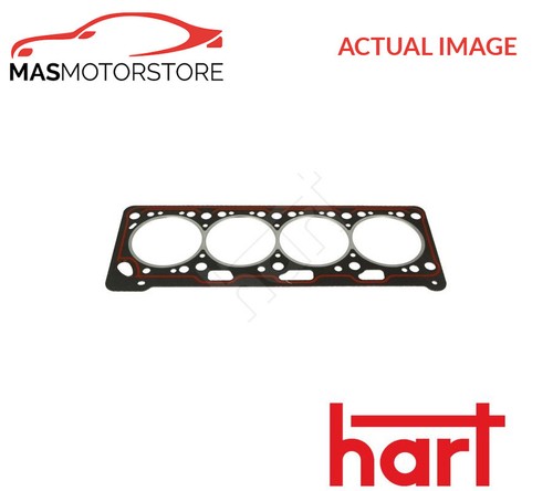 Engine cylinder head gasket - cylinder,