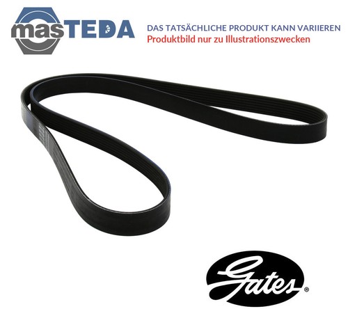 8pk1520hd belt ribbed - 8pk1520hd,