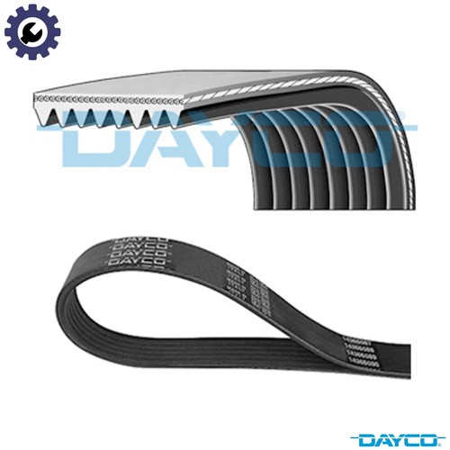 Vribbed belt 8pk1520hd - vribbed, daf